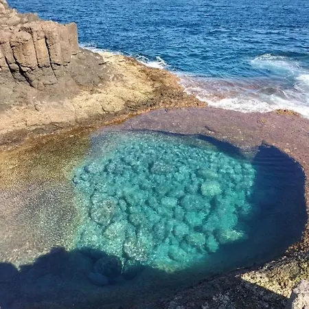 Lily - Fuerteventurabay 科斯塔德安提瓜